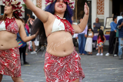 IMG_1954