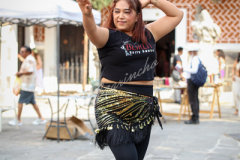 IMG_2049