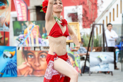 IMG_2270
