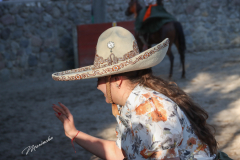IMG_0593